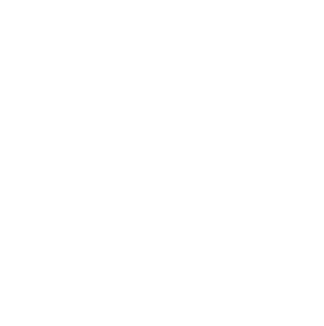 VUSE